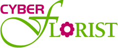 Cyber Florist logo