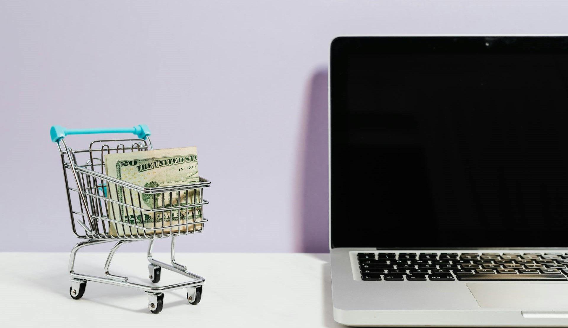 shopping cart with laptop